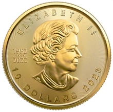 Maple Leaf Canadiense de 1/4 oz de Oro 2023