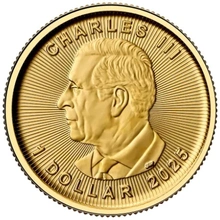Maple Leaf Canadiense de 1/20 oz de Oro 2025
