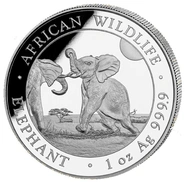 Moneda Plata 1 oz Elefante Somalí 2024