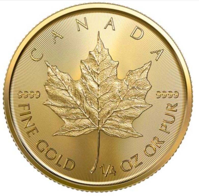 Maple Leaf Canadiense de 1/4 oz de Oro 2023