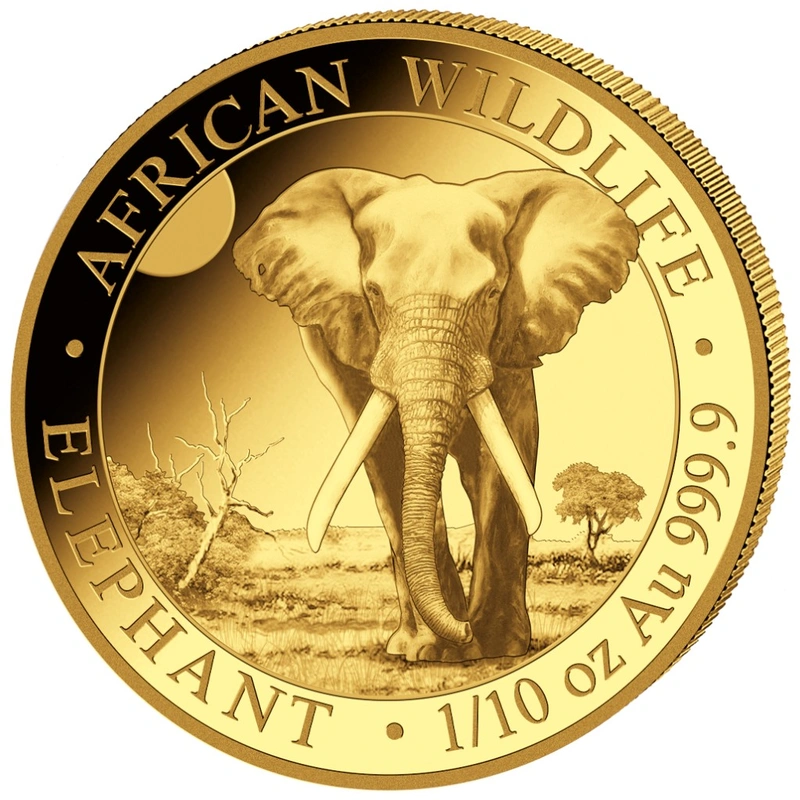 Moneda Oro 1/10 oz Elefante Somalí 2025
