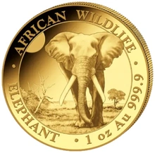 Moneda Oro 1 oz Elefante Somalí 2025