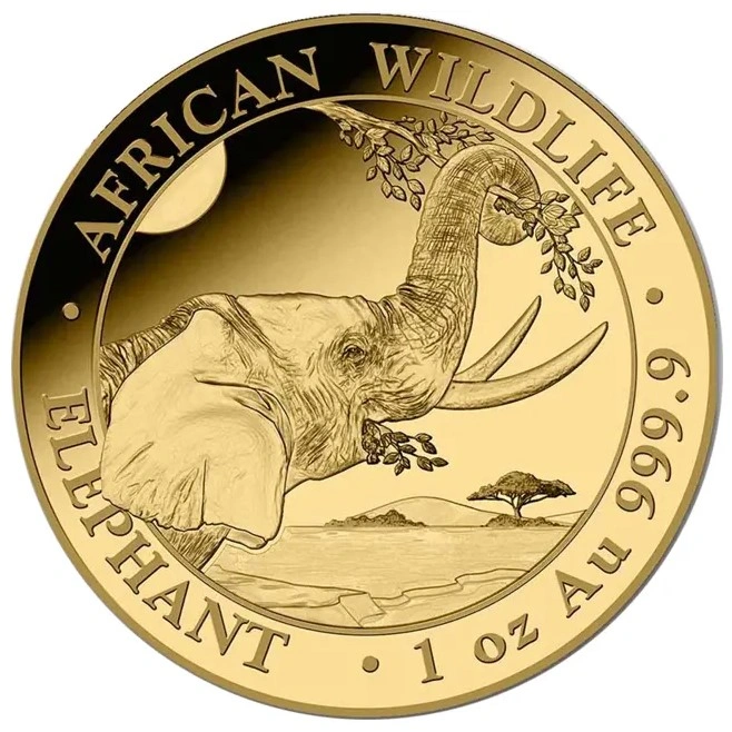 Elefante Somalí de 1 oz Oro 2023