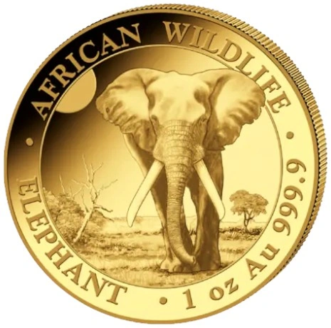 Moneda Oro 1 oz Elefante Somalí 2025