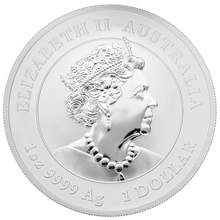 Moneda Perth Mint Calendario Lunar de Plata de 1 oz 2020 Año del Ratón