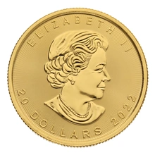 Maple Leaf Canadiense de 1/2 oz de Oro 2022