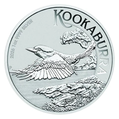 Cucaburra Australiana de Plata