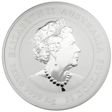 Moneda Perth Mint Calendario Lunar de Plata de 1 kg 2021 Año del Buey
