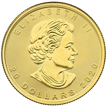 Maple Leaf Canadiense de 1/2 oz de Oro 2020