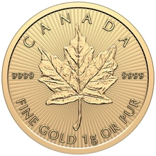 MapleGram 2026 25 x Monedas de oro de 1 g
