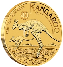 Moneda Canguro Australiano de Oro de 1/2 oz 2026