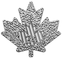 Maple Leaf Canadiense de 1 oz de Plata 2024