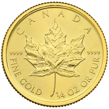 Maple Leaf Canadiense de 1/4 oz de Oro 2020