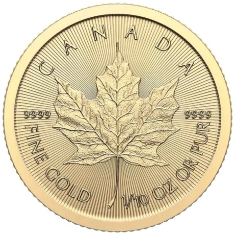 Maple Leaf Canadiense de 1/10 oz de Oro 2024