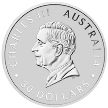 Moneda Cucaburra de Plata de 1 kg 2024