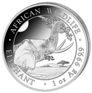 Moneda Elefante Somalí de Plata de 1 oz 2023