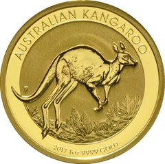 Canguro de Oro