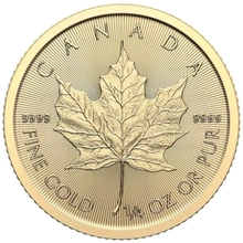 Maple Leaf Canadiense de 1/4 oz de Oro 2024