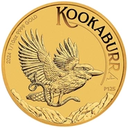 Moneda Australian Kookaburra de Oro de 1/10 oz 2024