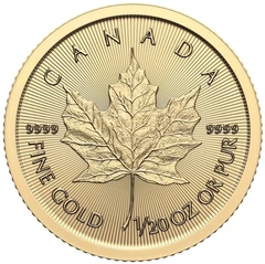 Maple Leaf Canadiense de 1/20 oz de Oro 2024