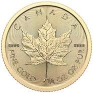 Maple Leaf Canadiense de 1/4 oz de Oro 2024