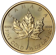 Maple Leaf Canadiense de 1/2 oz de Oro 2025