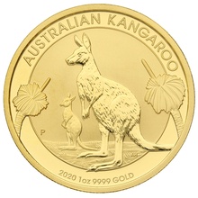 Canguro Australiano de 1oz de Oro 2020 en Caja Regalo
