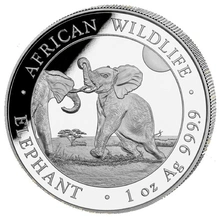 Moneda Plata 1 oz Elefante Somalí 2024