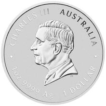 Moneda Perth Mint Calendario Lunar de Plata de 1 oz 2025 Año de la Serpiente