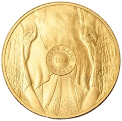 Moneda de Oro de 1 oz del Elefante 2026 Série Big Five