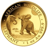 Moneda Oro 1 oz Elefante Somalí 2024