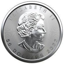 Maple Leaf Canadiense de 1 oz Platino 2022