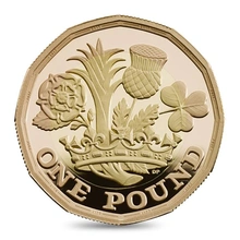 Moneda de Oro Proof 2017 de £1 Naciones de la Corona en caja
