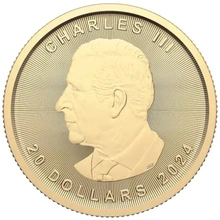 Maple Leaf Canadiense de 1/2 oz de Oro 2024