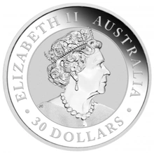 Moneda Cucaburra de Plata de 1 kg 2022