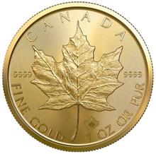 Maple Leaf Canadiense de 1 oz de Oro 2023