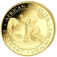Moneda Oro 1/10oz Elefante Somalí 2024