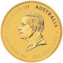 Moneda Oro 2 oz Perth Mint 2025 Año de la Serpiente