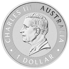 Moneda Canguro Australiano de Plata de 1 oz 2025