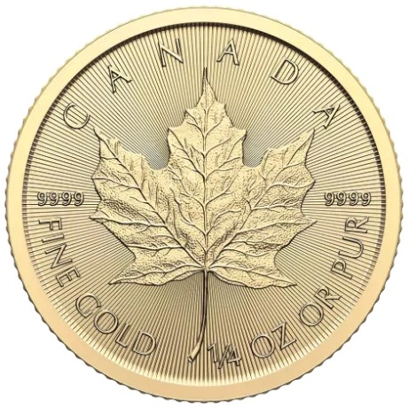 Maple Leaf Canadiense de 1/4 oz de Oro 2024