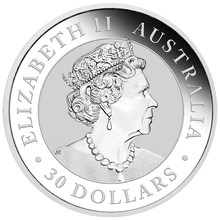 Moneda Koala Australiano de Plata de 1 kg 2019