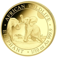 Moneda Oro 1/10 oz Elefante Somalí 2024