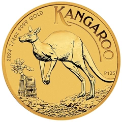 Moneda Canguro Australiano de Oro de 1/4 oz 2024