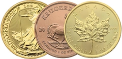 Moneda de 1 oz de Oro (de Nuestra Elección)