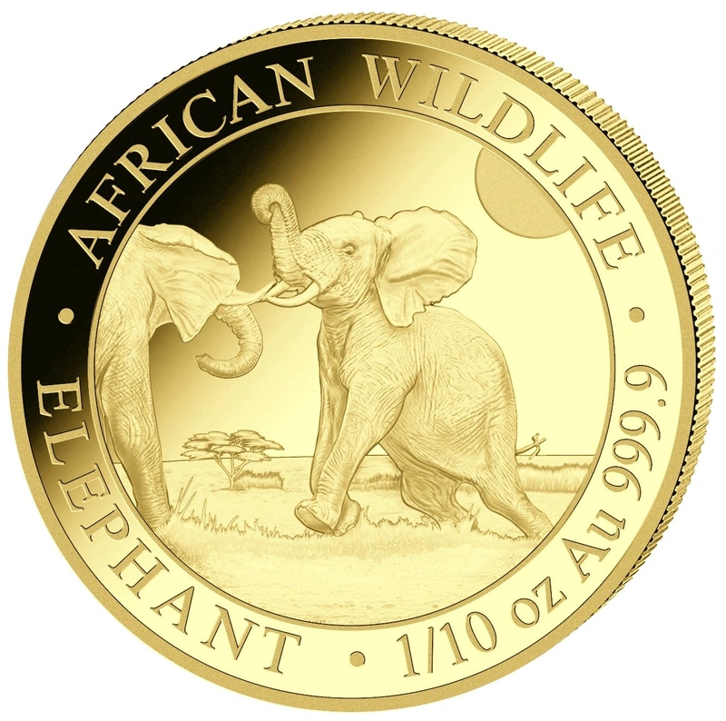 Moneda Oro 1/10 oz Elefante Somalí 2024