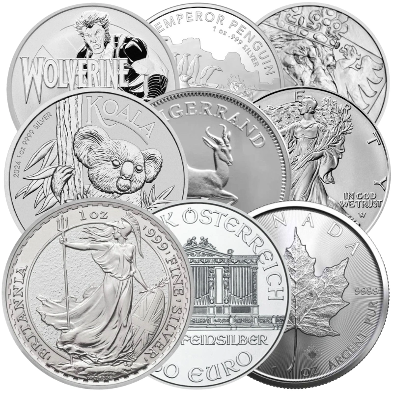 Moneda de 1 oz Plata de Nuestra Elección
