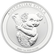 Koala Australiano