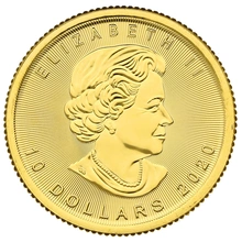 Maple Leaf Canadiense de 1/4 oz de Oro 2020