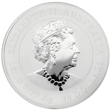 Moneda Perth Mint Calendario Lunar de Plata de 1 kg 2020 Año del Ratón
