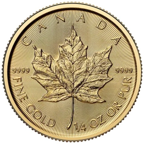 Maple Leaf Canadiense de 1/4 oz de Oro 2025